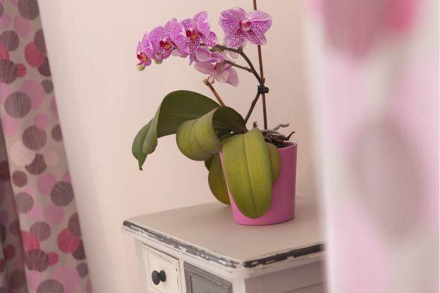 L'Hermine Spa Rom bilde